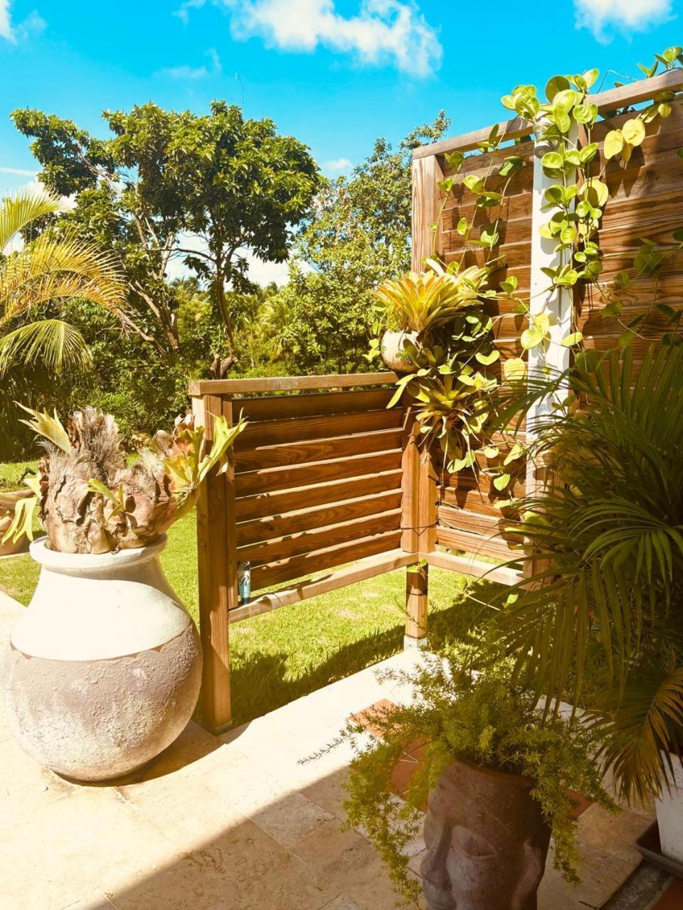 BaringtonLa Cocoteraie公寓 外观 照片